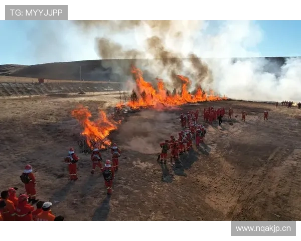 阿利松高位防线出击时机与协同防守分析