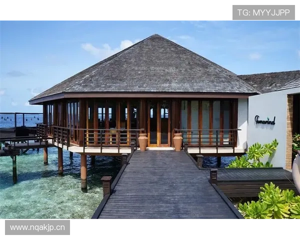 梅根·拉皮诺退役后天天在马尔代夫晒太阳，这谁顶得住啊